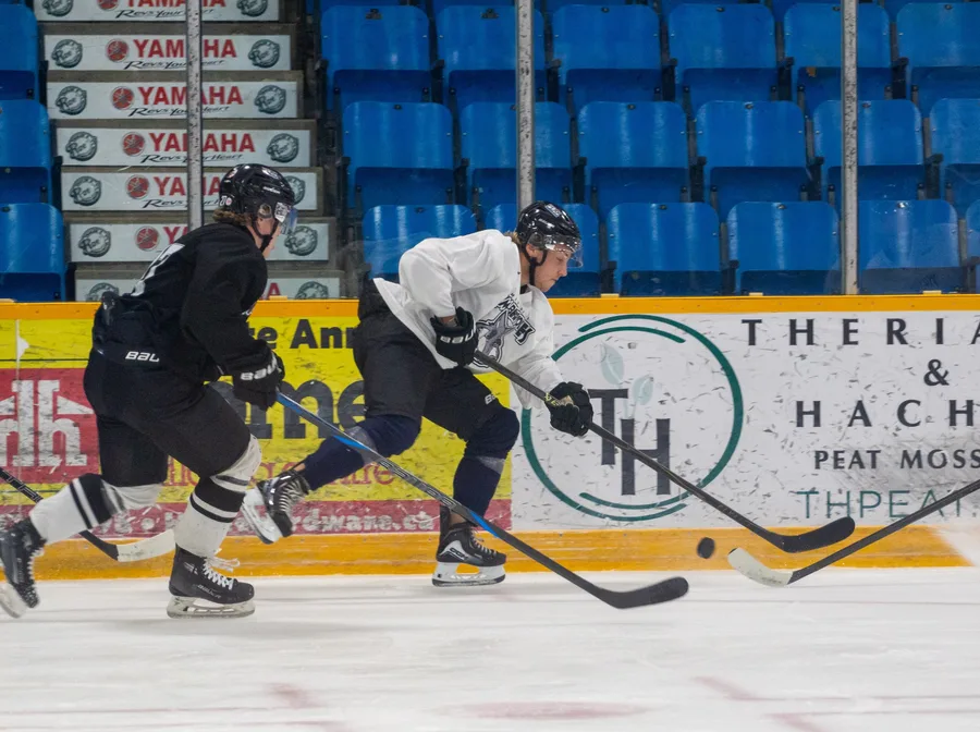 Game photograph 2 of 45