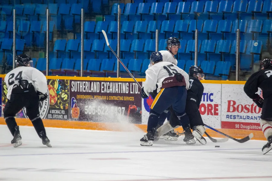 Game photograph 3 of 45