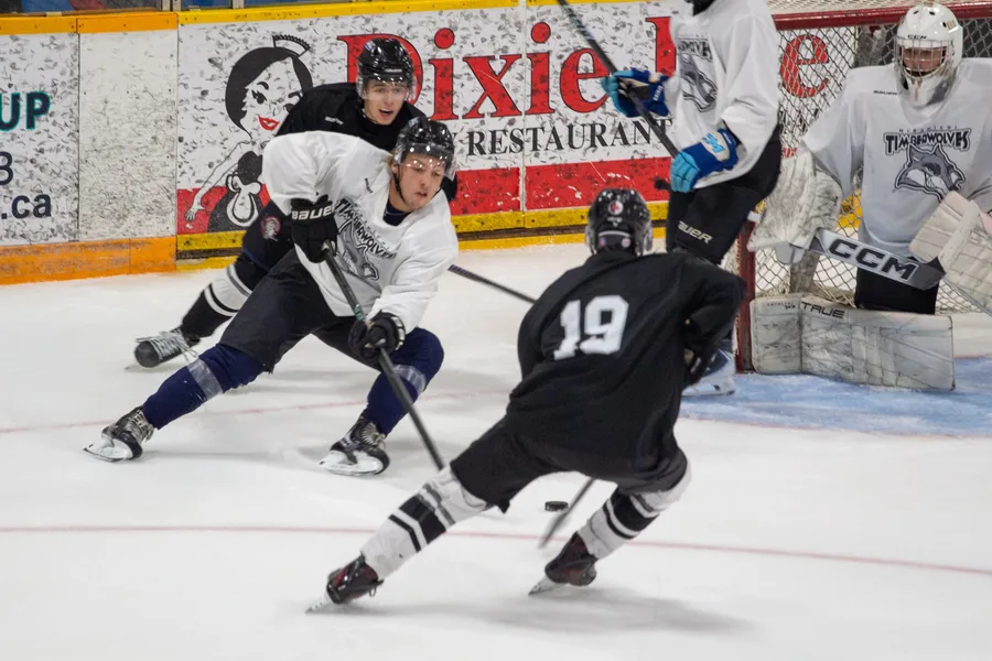 Game photograph 5 of 45