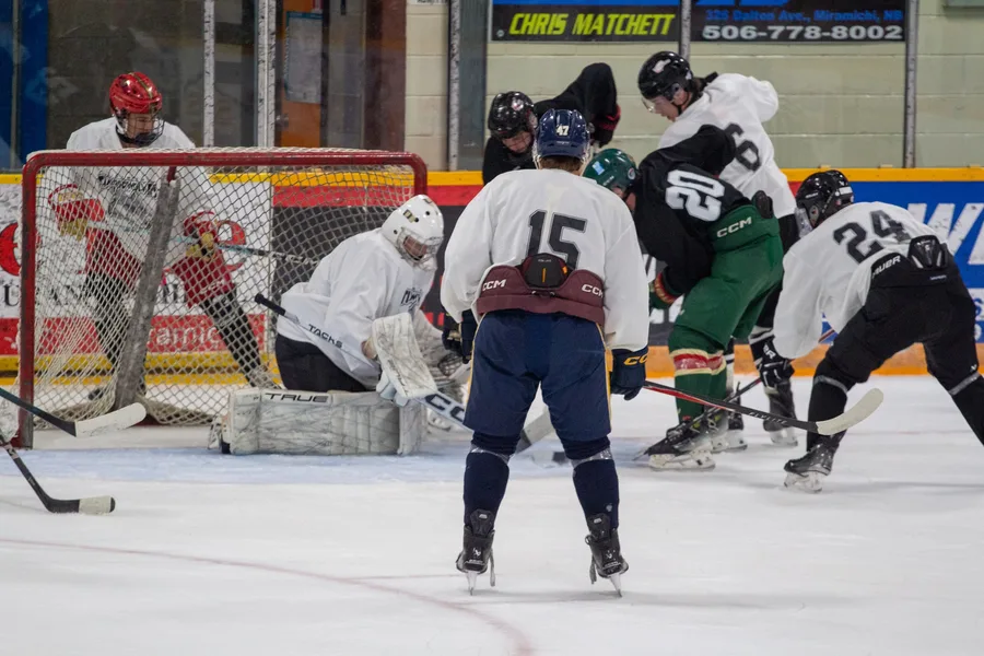 Game photograph 7 of 45