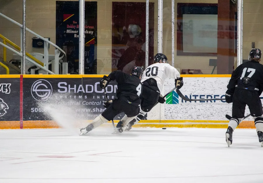Game photograph 9 of 45