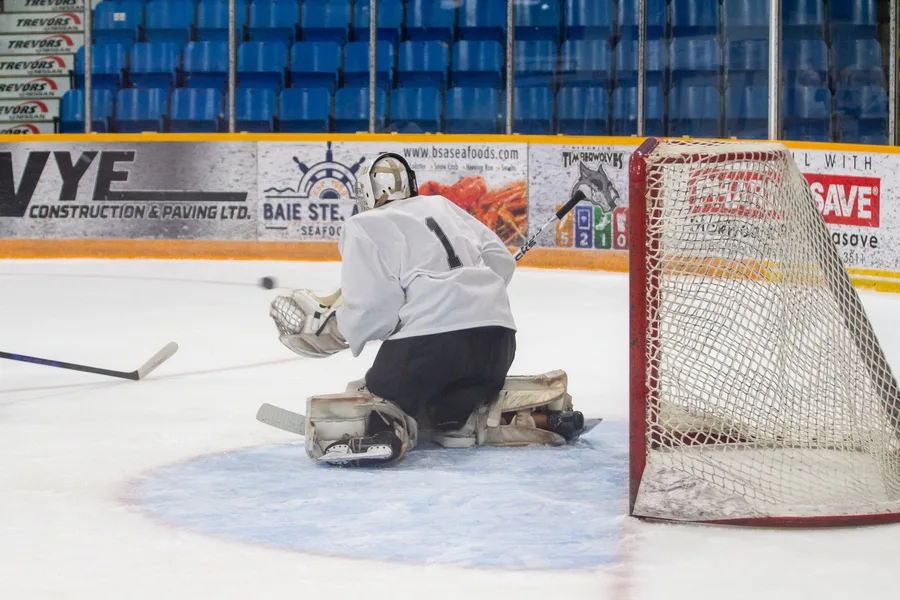 Game photograph 13 of 45