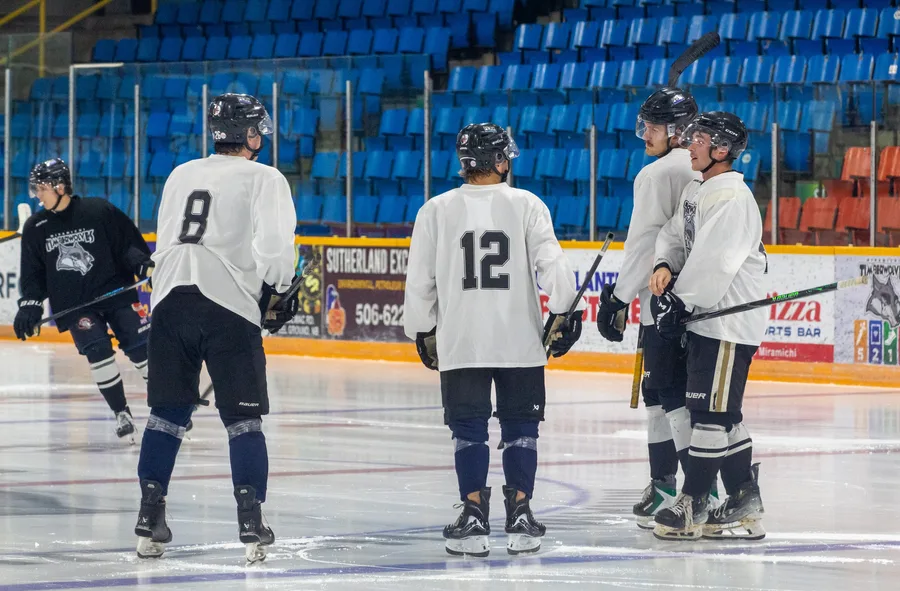 Game photograph 16 of 45