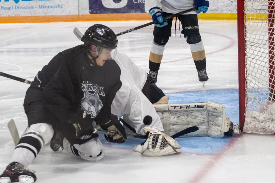 Game photograph 20 of 45
