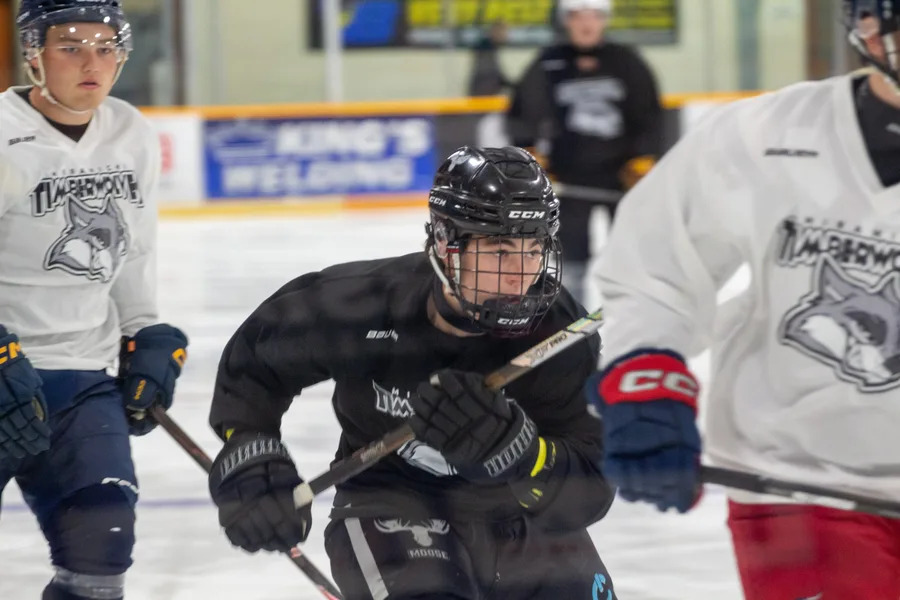 Game photograph 22 of 45