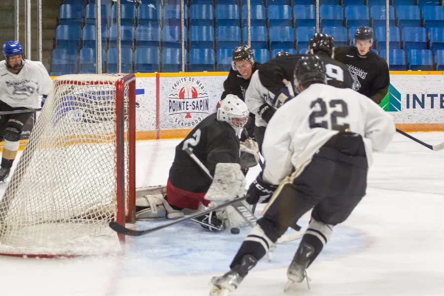 Game photograph 27 of 45