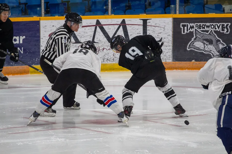 Game photograph 34 of 45
